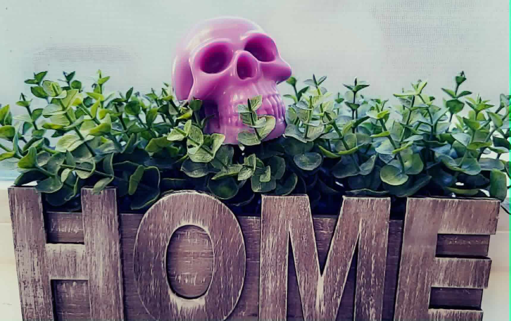 Greenery surrounding a purple skull-shaped candle